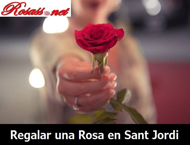 origen de regalar rosas rojas en el día de San Jordi