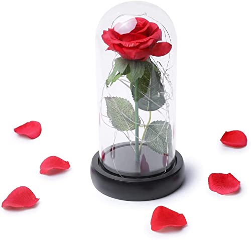 HELA Flor preservada de Rosa eterna con Luces LED en Vidrio - Juego de Regalo (Rosa de Seda/Base Negra)