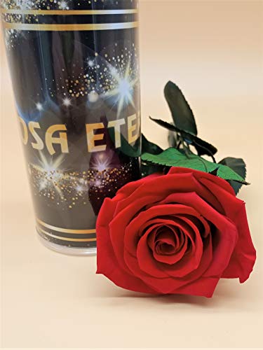Rosa eterna roja Extra. Altura 25 cm. Rosa preservada roja. Rosas Rojas eternas preservadas. Hecho en España.