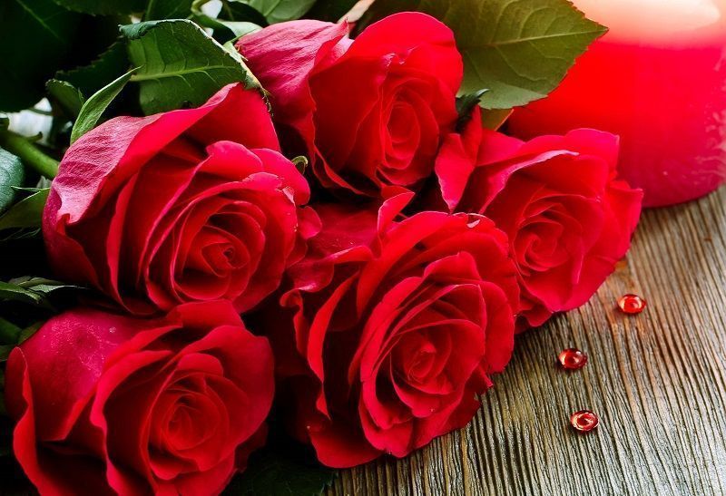 el significado de las rojas rojas, ramo de rosas rojas, regalar rosas en el día de la madre