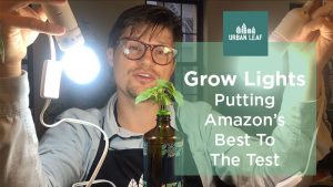 Grow Lights: Ponemos a prueba lo mejor de Amazon