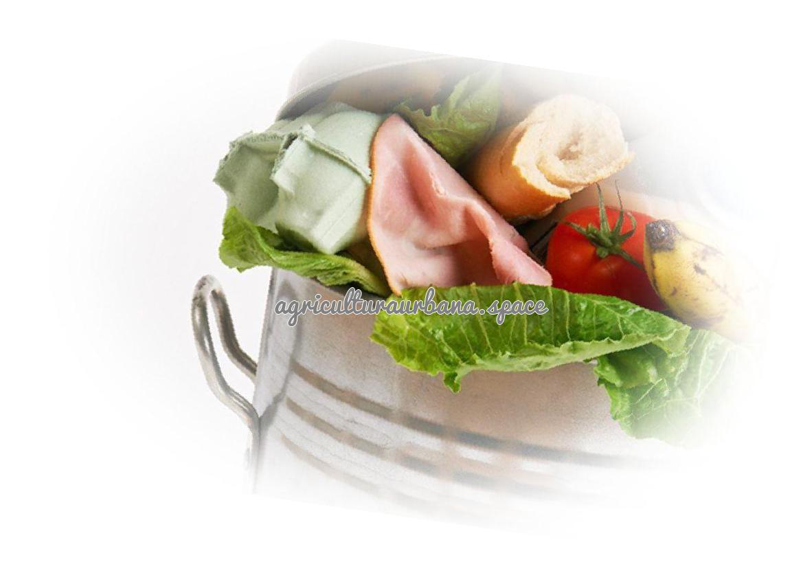 Especial Día de la Tierra 2018: Parte 3 – Alimentos y desechos