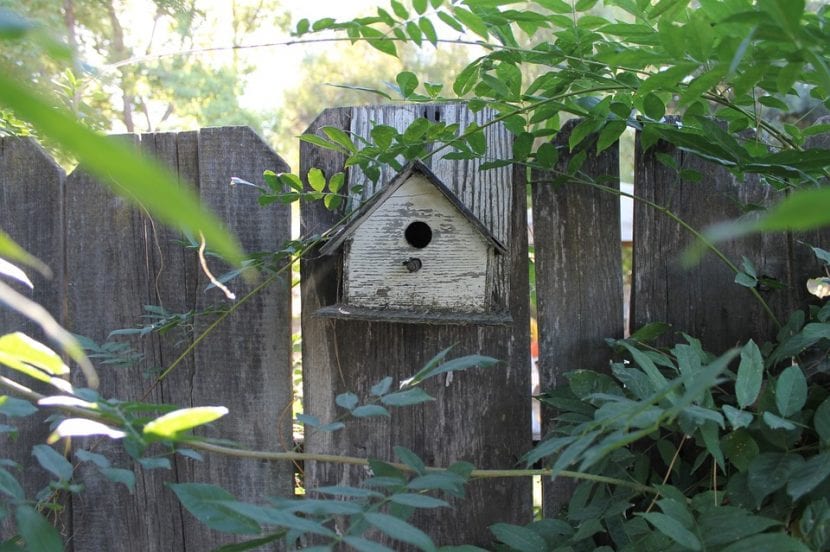 Casita para aves