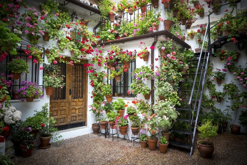 Patio andaluz con geranios