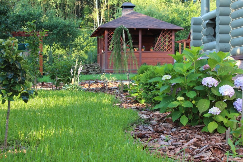Reduce el ruido del tráfico en tu jardín con nuestros consejos