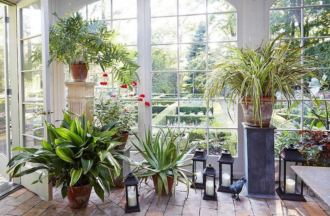 Pedestales para plantas: cómo usarlos bien en casa y jardín