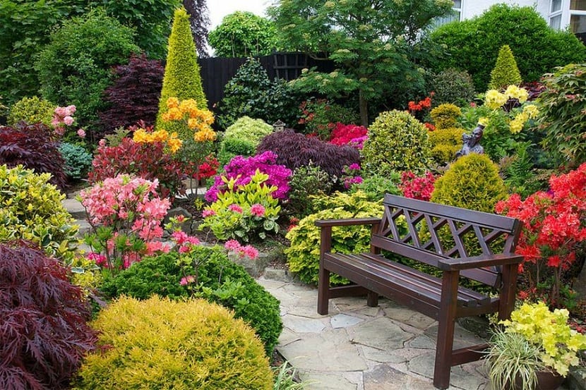 exterior con plantas y flores