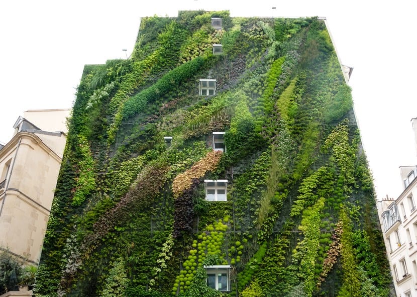Jardín vertical