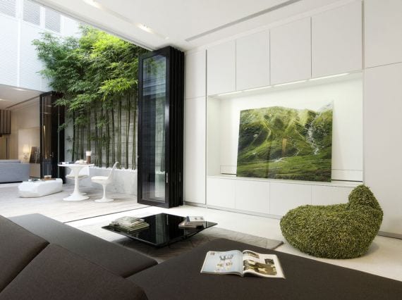 Decorar un patio interior con plantas: diseño y especies