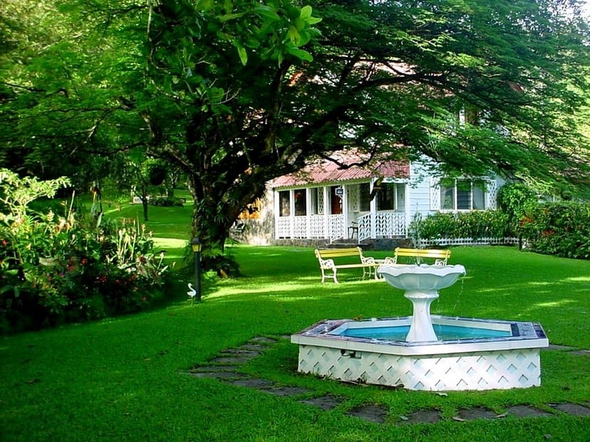 Jardín