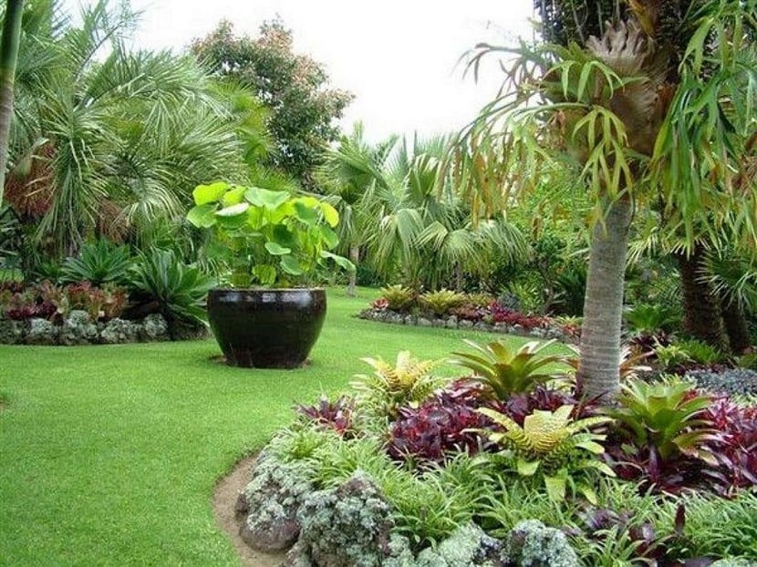 Jardín