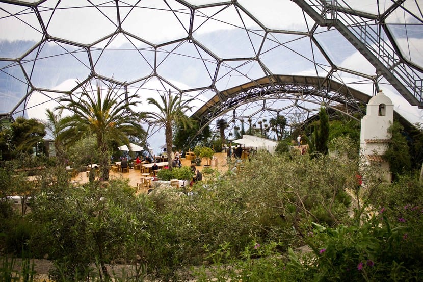 Proyecto Edén