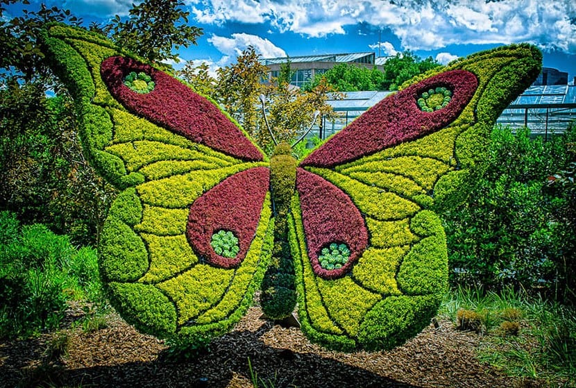 Esculturas Atlanta Botanical Garden