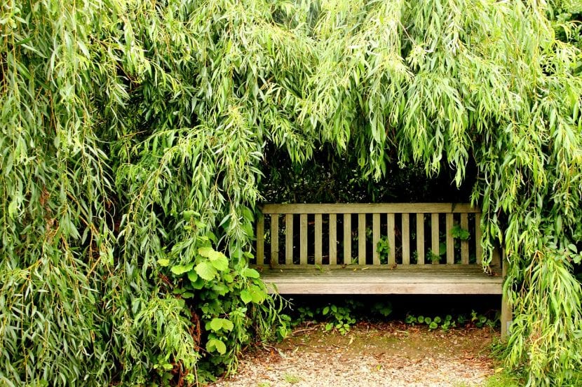 Un rincón escondido para disfrutar del jardín
