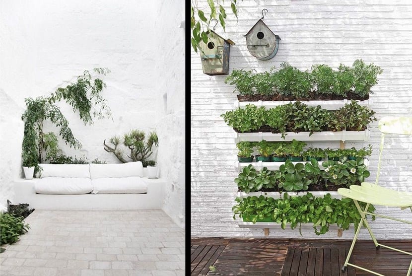 Decoración con plantas