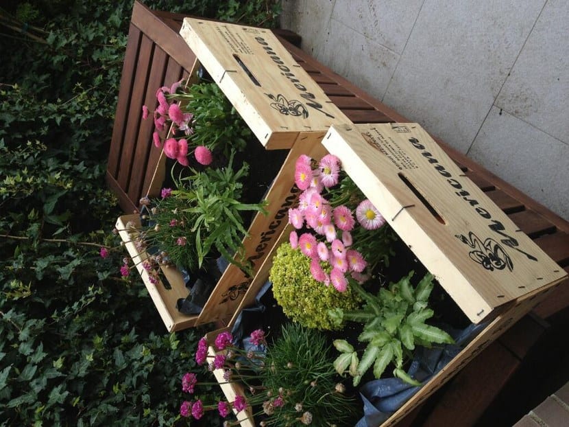 Decoración con plantas