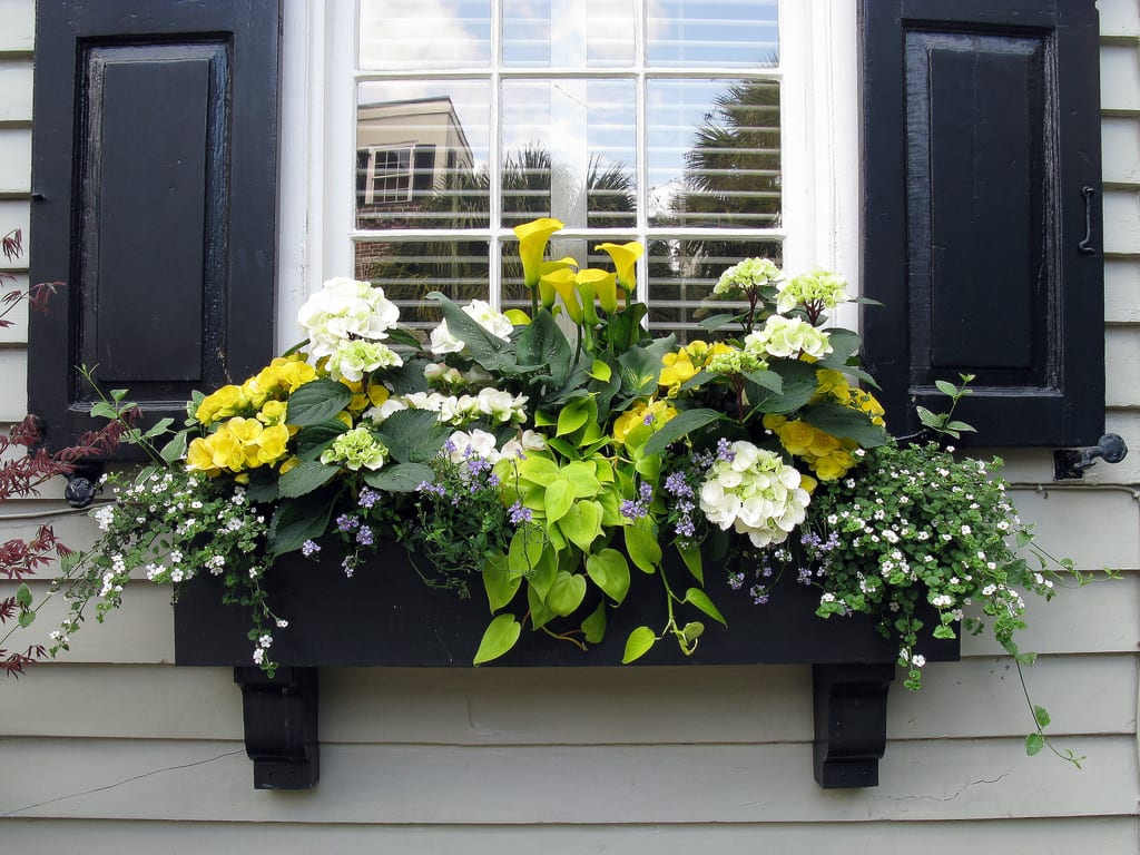 Decorar con plantas: beneficios reales y cómo acertar
