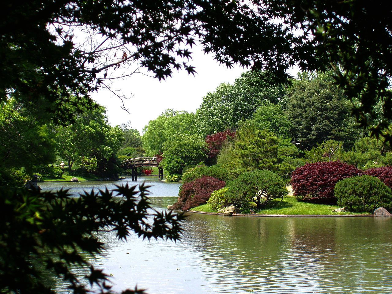 Vista del jardín botánico