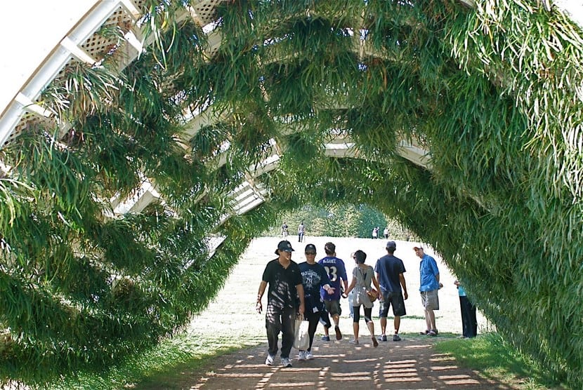 Living Pavilion