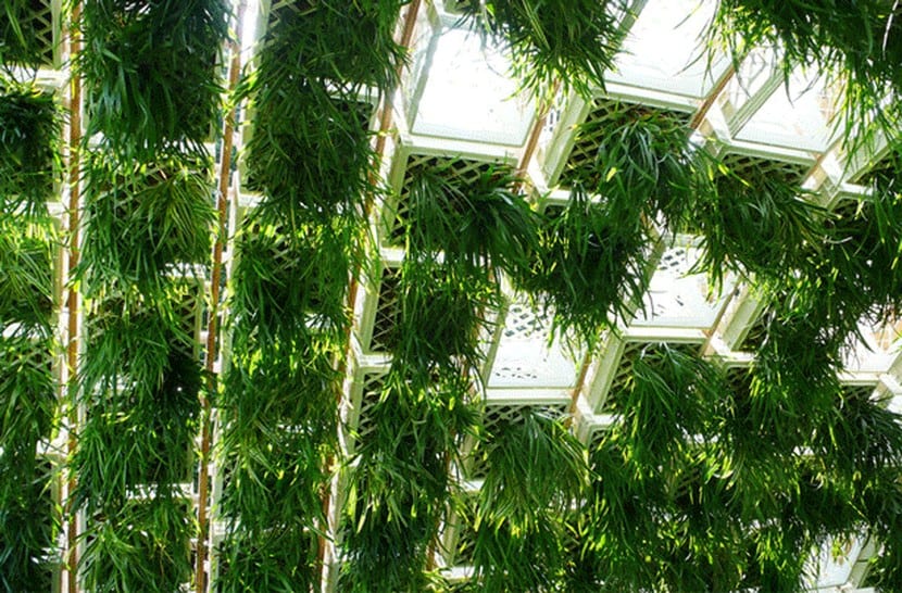 Living Pavilion