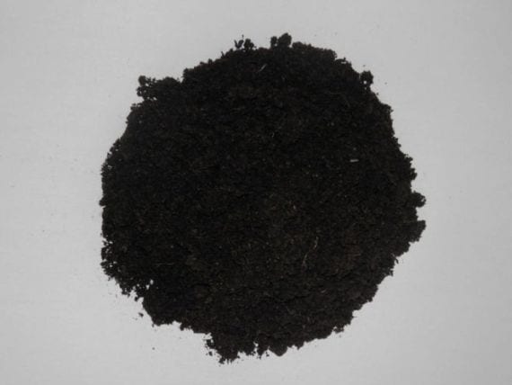 Turba negra