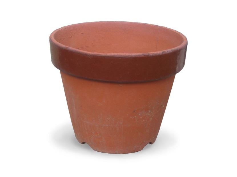 Maceta