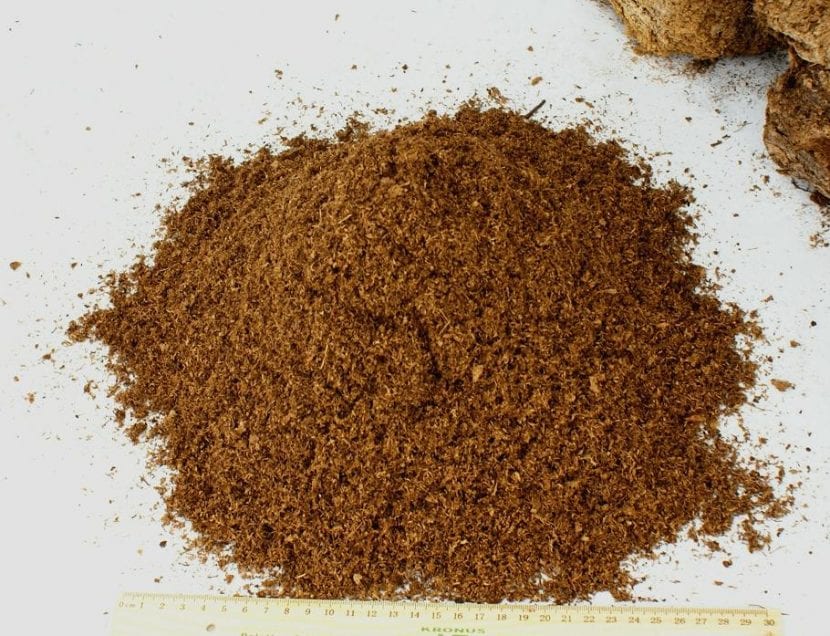 Turba rubia de esfagno sin abonar para plantas carnívoras