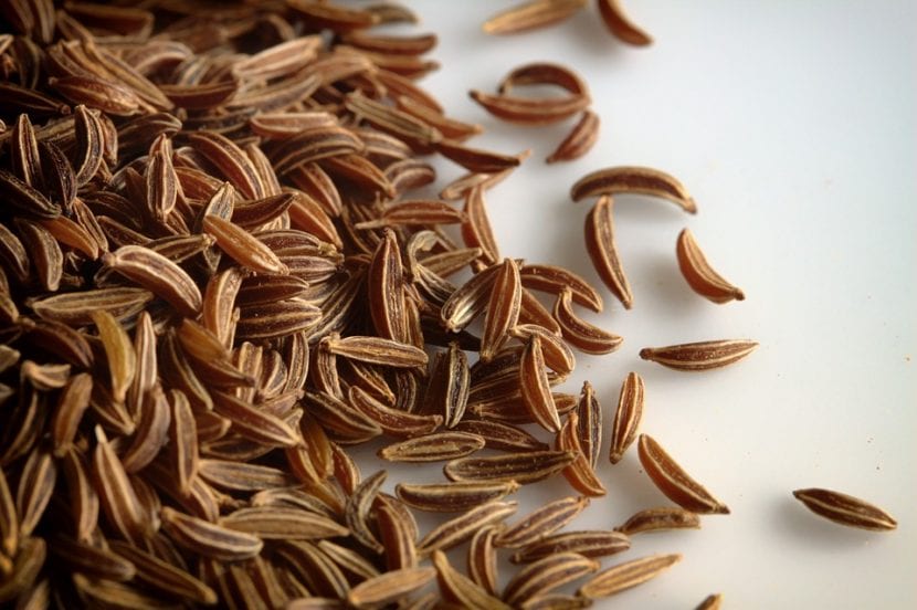 Semillas de alcaravea