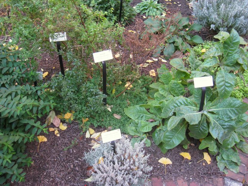 Jardín