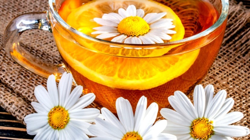 Infusion de manzanilla