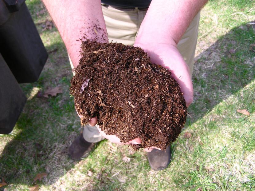 Compost, un abono ideal para tu planta
