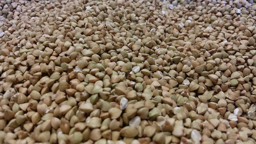 Alforfón: cultivo, cosecha y propiedades del trigo sarraceno