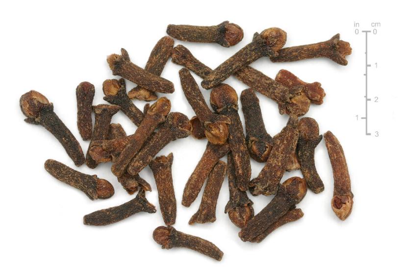 Clavo de olor (Syzygium aromaticum): qué es, cultivo y eugenol