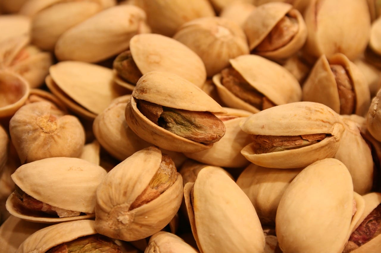 Cómo sembrar pistachos: semilla, frío previo e injerto