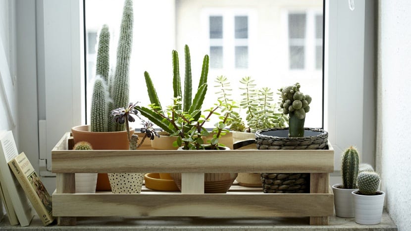 Crear un jardin en una ventana de una habitacion