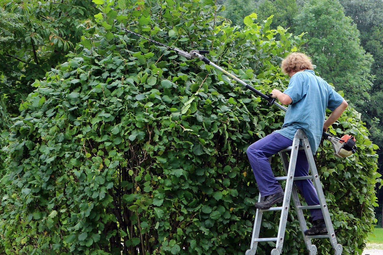 Jardinero podando setos