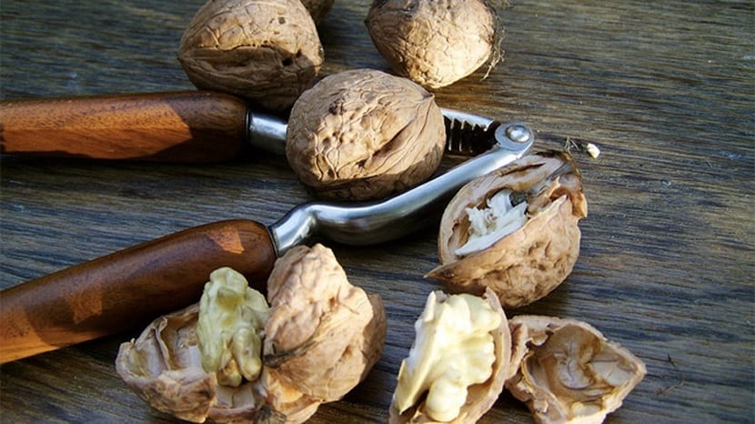 nueces