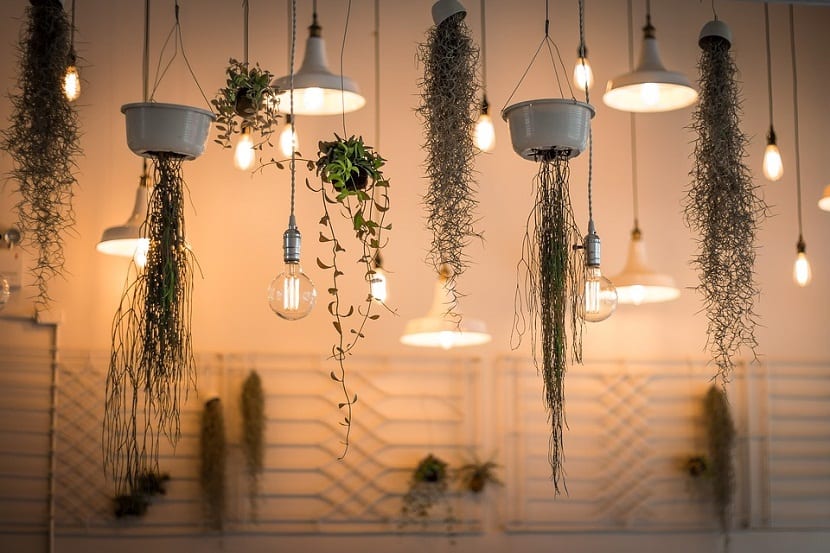 formas de decoracion colgante que podemos hacer