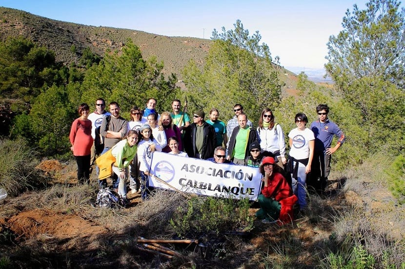 Trabajos de conservación de la jara