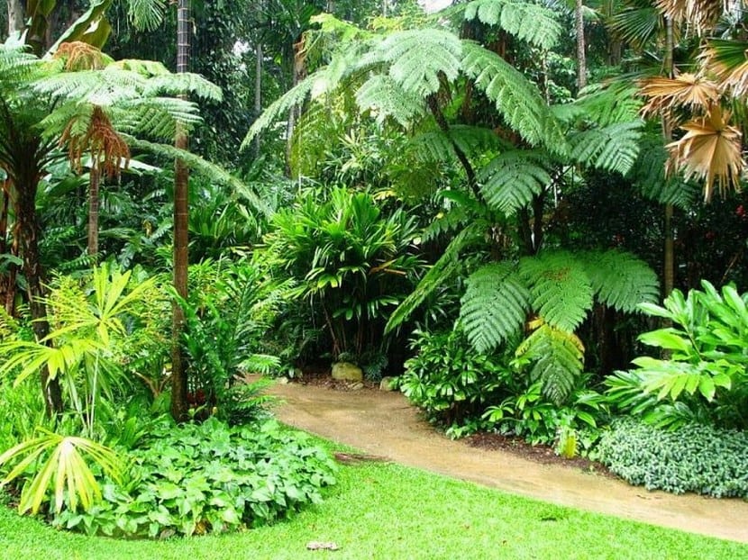 Jardín tropical