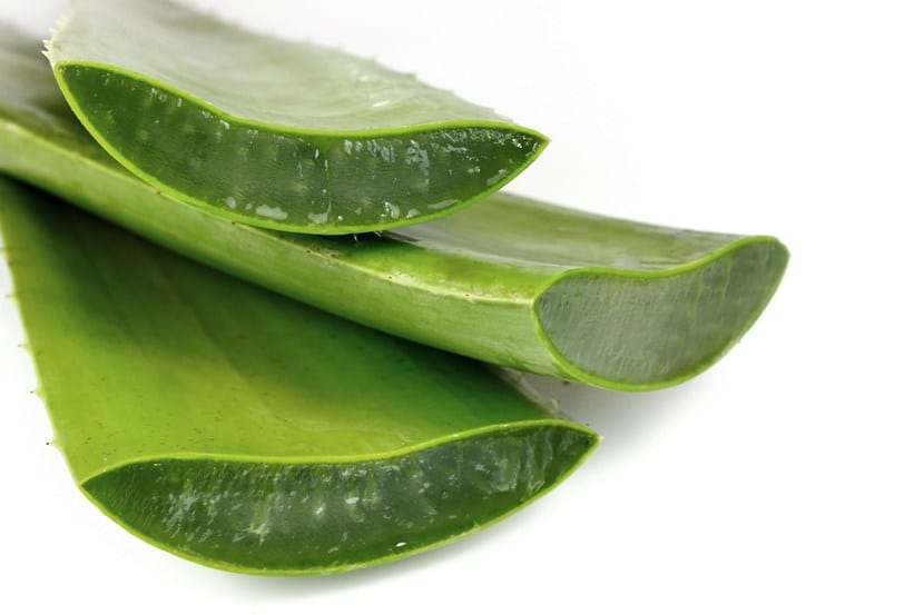 Aloe Vera