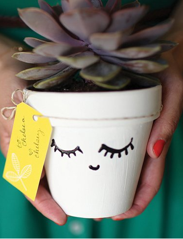 Echeveria en una maceta pequeña decorada, sostenida como regalo