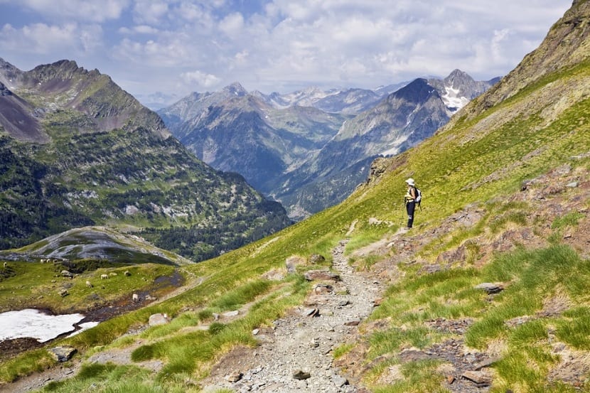 Hábitat de los Pirineos