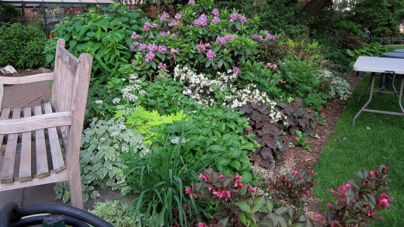 Jardín con plantas bajas