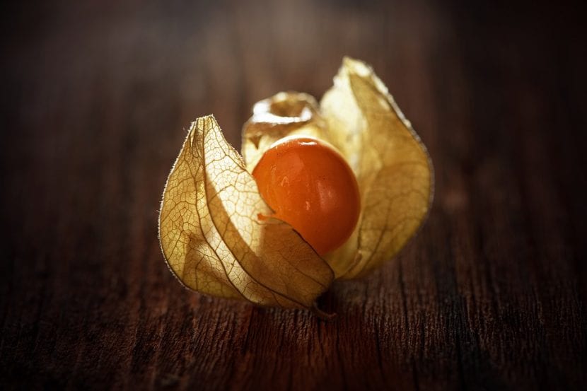Fruto del Physalis peruviana