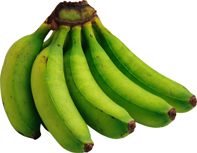 Los plátanos verdes se consumen crudos