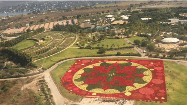 Alfombra floral en México