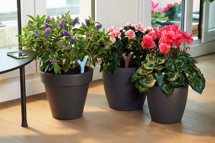 Sensor humedad de plantas