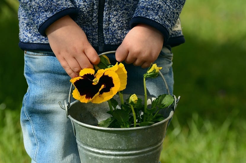 Siembra de plantas con niños 