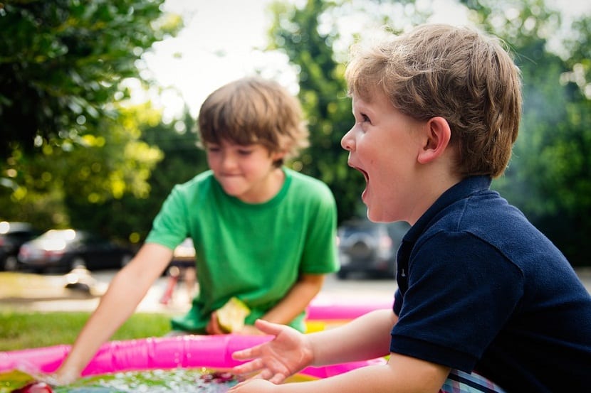 como podemos sembrar plantas con los niños